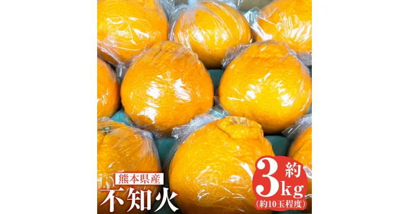 【ふるさと納税】不知火 約3kg 約10玉程度 ミカン 蜜柑 柑橘 フルーツ くだもの 果物 しらぬい 果実 国産 常温 九州 熊本県 送料無料 【2025年2月下旬発送開始】