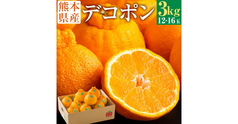 【ふるさと納税】熊本県産 デコポン 3kg 12～16玉 柑橘 みかん ミカン 蜜柑 でこぽん 果物 くだもの 果実 フルーツ 旬 お取り寄せ ギフト 国産 九州 熊本県 常温 送料無料【2025年3月上旬発送開始】