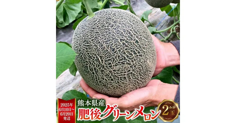 【ふるさと納税】熊本県産 肥後グリーンメロン 2玉 約4kg 肥後グリーン 甘い 果物 フルーツ メロン 肥後 くだもの 旬 お取り寄せ 常温 九州 熊本県 送料無料【2025年6月10日～2025年6月20日発送予定】