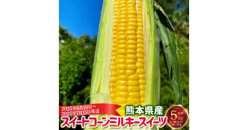 【ふるさと納税】熊本県産 スイートコーン ミルキースイーツ 約5kg とうもろこし トウモロコシ コーン 生 甘い 野菜 お取り寄せ 冷蔵 九州 熊本県 送料無料【2025年6月10日～2025年7月15日発送予定】