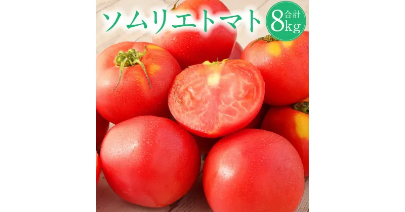 【ふるさと納税】熊本県 ソムリエトマト 4kg×2箱 合計8kg ソムリエ トマト とまと 野菜 旬 新鮮 フルーツ 大玉 熊本県 冷蔵 送料無料 【2025年2月上旬発送開始】