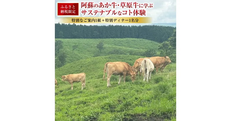 【ふるさと納税】【ふるさと納税限定】～食べることは生きること～ 熊本阿蘇地域の未来につながる、阿蘇のあか牛・草原牛に学ぶサステナブルなコト体験 特別なご案内1組 ＋ 特別ディナー1名分 体験 チケット お食事券 九州 熊本県 送料無料