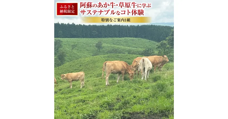 【ふるさと納税】【ふるさと納税限定】～食べることは生きること～ 熊本阿蘇地域の未来につながる、阿蘇のあか牛・草原牛に学ぶサステナブルなコト体験 特別なご案内 1組 体験 チケット 九州 熊本県 送料無料