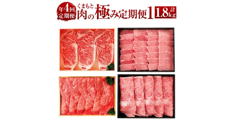 【ふるさと納税】【年4回定期便】くまもと肉の極み定期便1 合計1.8kg 定期便 定期配送 肉 お肉 牛肉 熊本県産 黒毛和牛 和牛 サーロインステーキ モモ カタ ロース 肩ロース 冷凍 九州 熊本県 送料無料