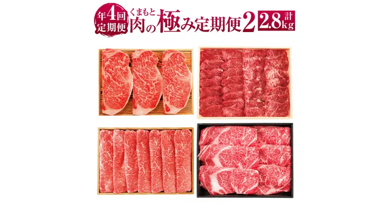 【ふるさと納税】【年4回定期便】くまもと肉の極み定期便2 合計2.8kg 定期便 定期配送 肉 お肉 牛肉 赤牛 あか牛 くまもとあか牛 国産牛 和牛 サーロインステーキ モモ カタ ロース 肩ロース 冷凍 九州 熊本県 送料無料