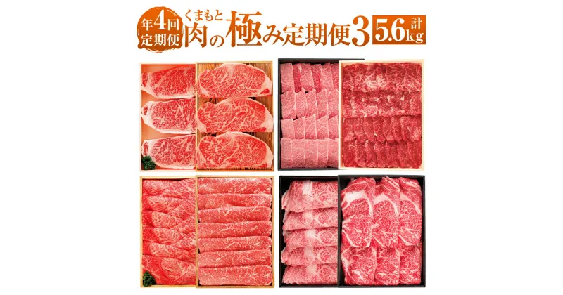 【ふるさと納税】【年4回定期便】くまもと肉の極み定期便3 計5.6kg 肉 お肉 牛肉 黒毛和牛 くまもとあか牛 赤牛 和牛 国産牛 熊本県産 定期便 定期配送 サーロインステーキ モモ カタ ロース 肩ロース 食べ比べ セット 冷凍 九州 熊本県 送料無料