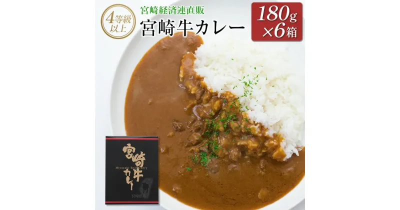 【ふるさと納税】◆4等級以上　宮崎牛カレー(180g×6箱)