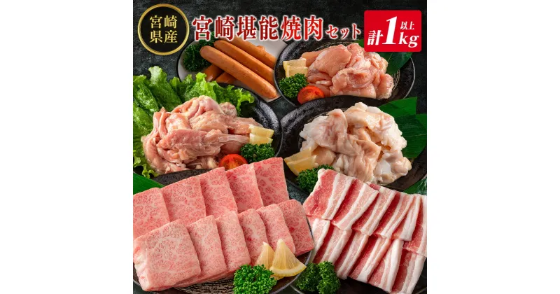 【ふるさと納税】◇宮崎県産のお肉を堪能!! 老舗焼肉店の焼肉セット（タレ・塩胡椒付き ）計1kg以上