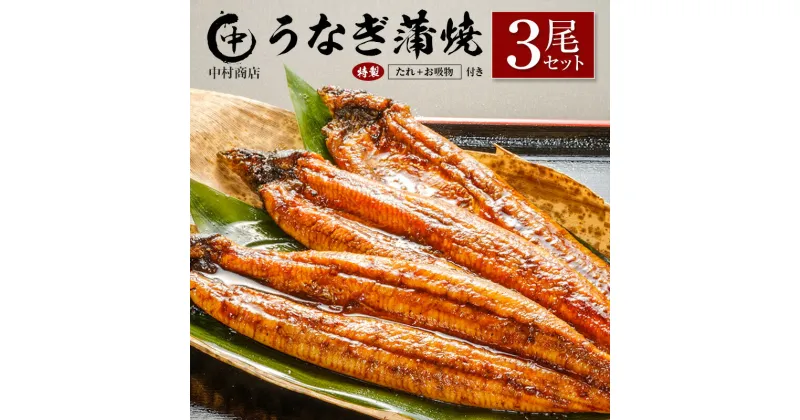 【ふるさと納税】◆中村商店　うなぎ蒲焼3尾セット