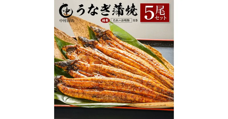 【ふるさと納税】◆中村商店　うなぎ蒲焼5尾セット