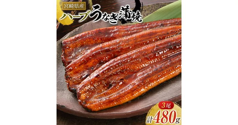 【ふるさと納税】◆宮崎県産ハーブうなぎ蒲焼 3尾(計480g)