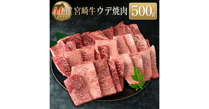 【ふるさと納税】◆宮崎牛ウデ焼肉(500g1パック)