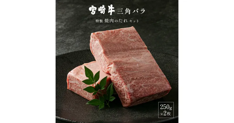 【ふるさと納税】宮崎牛三角バラ(大トロ)250g×2枚　焼肉のたれ220gセット