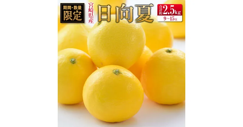 【ふるさと納税】◇宮崎県産ハウス日向夏 合計約2.5kg（9～15玉入）