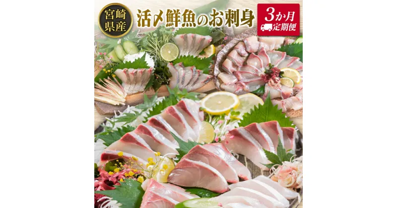 【ふるさと納税】◇＜3か月定期便＞延岡産定番シリーズ活〆鮮魚のお刺身