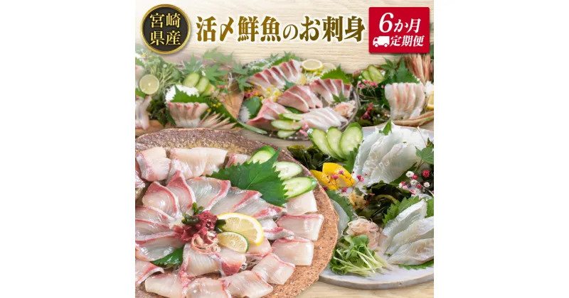 【ふるさと納税】◇＜6か月定期便＞延岡産活〆鮮魚の豪華お刺身