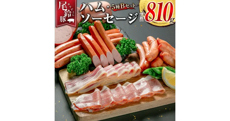 【ふるさと納税】【PREMIUM PORK】 尾鈴豚 ハム ソーセージ 詰め合わせ 合計810g 5種 Bセット 宮崎県産