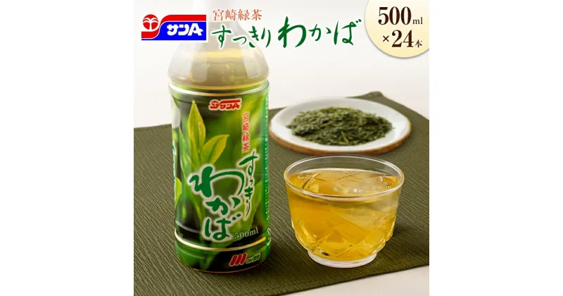 【ふるさと納税】宮崎緑茶 すっきりわかば 500ml×24本 ペットボトル サンA