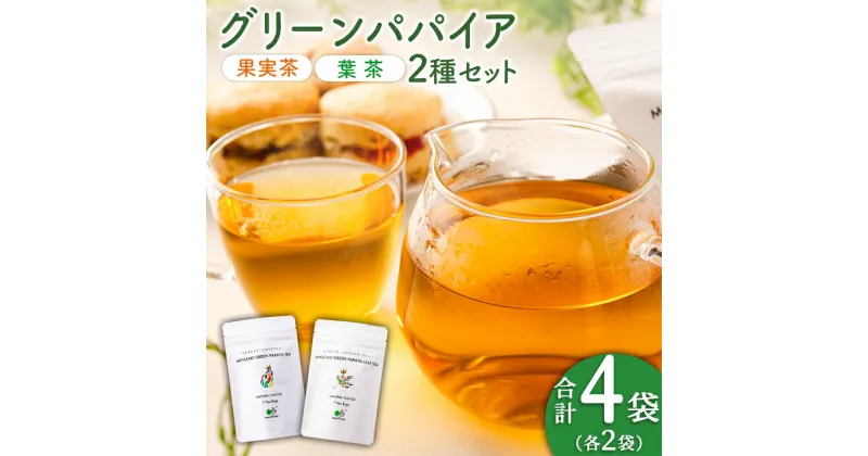 【ふるさと納税】グリーンパパイアティー 2種 セット (果実茶＆葉茶) ティーバッグ 計4袋 宮崎県産