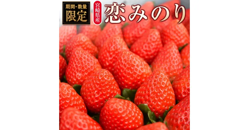 【ふるさと納税】◆宮崎県産いちご「恋みのり」（計8パック）