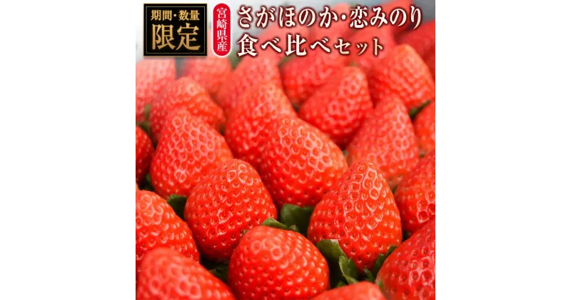 【ふるさと納税】◆宮崎県産いちご「さがほのか」「恋みのり」食べ比べセット（各4パック）