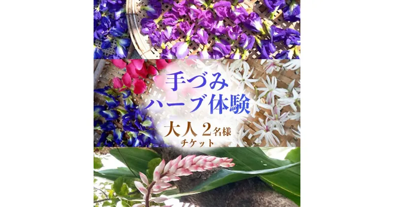 【ふるさと納税】手づみハーブ体験 南城市 ペアチケット | 沖縄 沖縄県 南城市 ご当地 お取り寄せ お土産 沖縄お土産 沖縄土産 ふるさと 納税 チケット 体験 体験型 体験チケット ペアチケット 2人 ペア ふたり 体験型ふるさと納税 おすすめ 取り寄せ