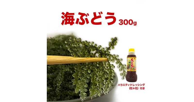 【ふるさと納税】新鮮！海ぶどう300g | ドレッシング付 養殖 返礼品 海産物 ご当地グルメ 生もの 食物繊維 常温保管 おつまみ お取り寄せ 敬老の日 返礼品 特産品 沖縄 沖縄県産 南城市