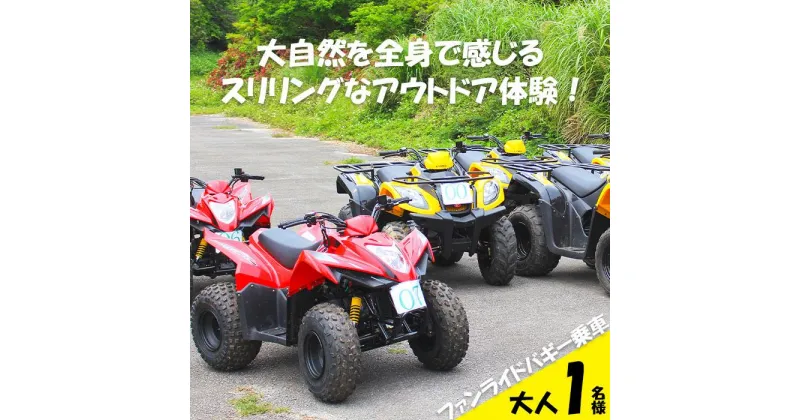 【ふるさと納税】大自然を全身で感じる スリリングなアウトドア体験！ファンライドバギー乗車（大人1名様） | バギー 体験 乗車 アウトドア アクティビティ 自然 ユインチ 沖縄県 沖縄 南城