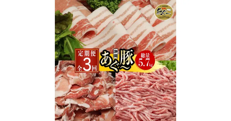 【ふるさと納税】沖縄あぐー豚 定期便（全3回） | あぐー豚 豚肉 食べ比べセット ロース バラ ウデ モモ しゃぶしゃぶ ミンチ 切り落とし 細切れ肉 返礼品 特産品 ご当地グルメ お取り寄 沖縄 沖縄県産 南城市