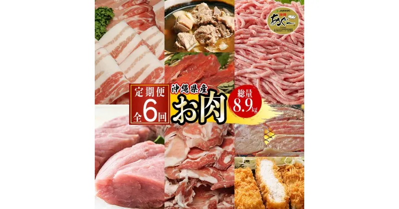 【ふるさと納税】沖縄県産お肉の定期便（全6回） | 6か月連続 あぐー豚 豚肉 食べ比べセット ロース バラ ウデ モモ しゃぶしゃぶ ヤギ汁 ヤギ刺身 返礼品 特産品 ご当地グルメ お取り寄せ 沖縄 沖縄県産 南城市