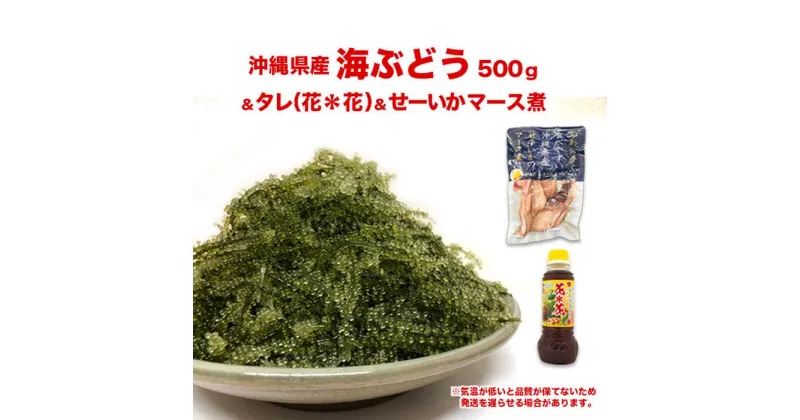 【ふるさと納税】南城市産海ぶどう500g