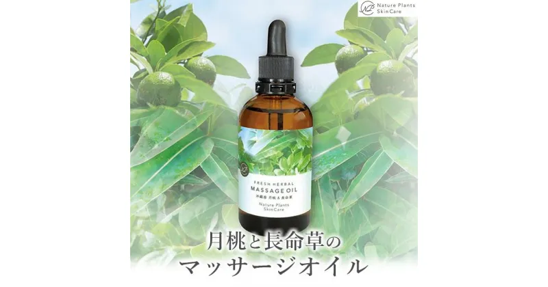 【ふるさと納税】【Nature Plants Skin Care】月桃と長命草（ボタンボウフウ）のマッサージオイル | 天然素材 手作り スキンケア 美容 美 守本理恵 化粧水 天然 月桃 自然 メイクアップアーティスト メイク モデル 無添加 自然派 クリーム 美白 沖縄 海