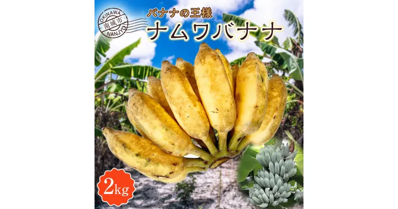 【ふるさと納税】バナナ 南城市 ナムワバナナ 2kg | 果物 くだもの フルーツ ご当地 限定 お取り寄せ グルメ バナナジュース ヨーグルト デザート おすすめ 朝食 朝ごはん ご飯 ごはん 人気 おすすめ 沖縄県