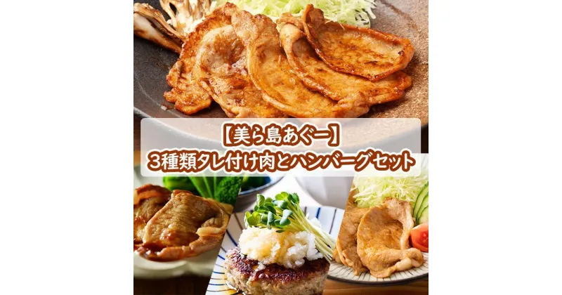 【ふるさと納税】【美ら島あぐ～】3種類タレ付け肉とハンバーグセット