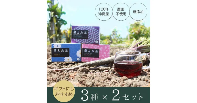 【ふるさと納税】100％沖縄県産 黒人参茶3種×2セット | 無添加 黒人参 飲料 茶葉 ソフトドリンク 人気 おすすめ 送料無料 ギフト