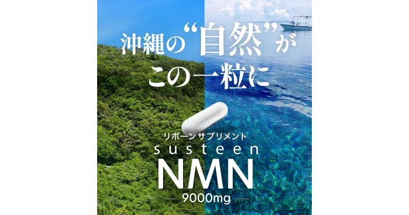 【ふるさと納税】沖縄から美容と健康が気になる方へ　susteen NMN（サスティーンエヌエムエヌ）9000mg | 食品 健康食 加工食品 人気 おすすめ 送料無料