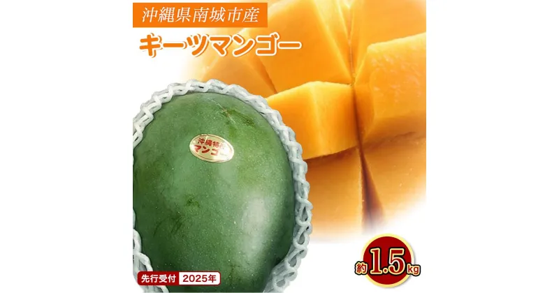 【ふるさと納税】【先行受付】【2025年発送】キーツマンゴー 南城市 約1.5kg (1～2玉) | マンゴー フルーツ 果物 くだもの ご当地 キーツ 食品 人気 おすすめ 送料無料 沖縄 沖縄県 南国 南城市