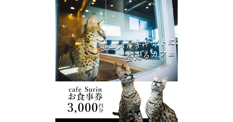 【ふるさと納税】お食事券 3,000円分 cafe Surin ( カフェ スリン ) 南城市