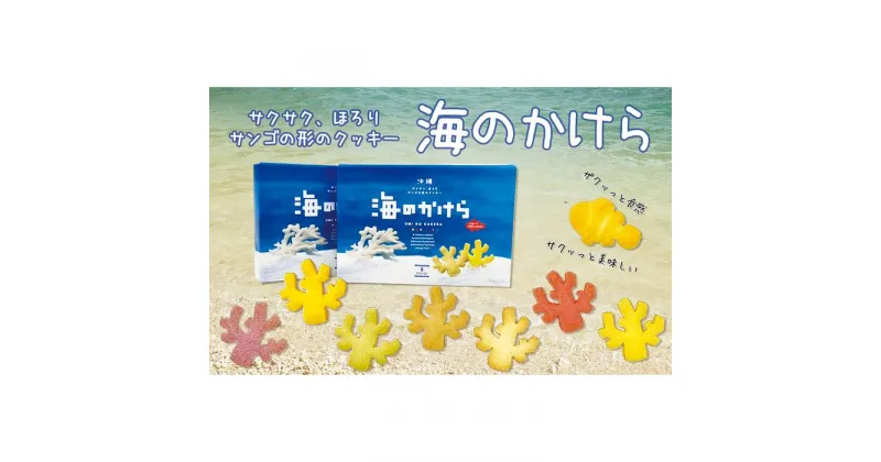 【ふるさと納税】海のかけらクッキー 1箱8個入り2箱セット | 菓子 おかし スイーツ デザート 食品 人気 おすすめ 送料無料