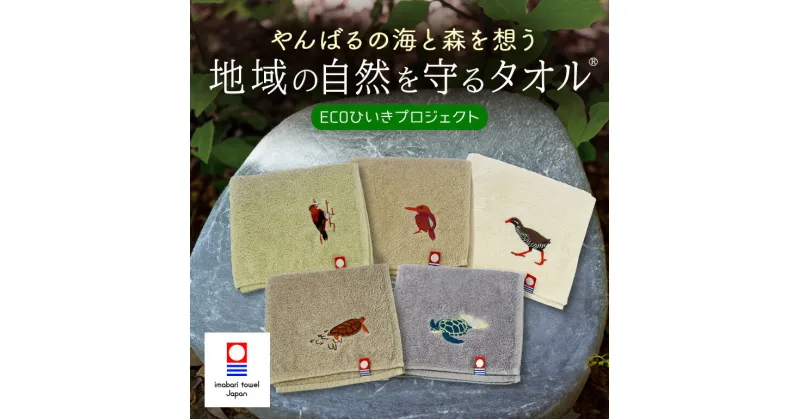 【ふるさと納税】 地域の自然を守るタオル 選べる 5枚セット 3枚セット「やんばるの海と森を想う」「やんばるの野鳥」ヤンバルクイナ ノグチゲラ リュウキュウアカショウビン アカウミガメ アオウミガメ 今治タオル オーガニックコットン GOTS認証オーガニック ハンドタオル