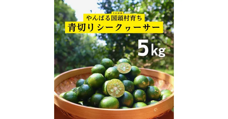 【ふるさと納税】ゆいゆい国頭厳選！青切りシークヮーサー5kg【2025年9月発送】先行予約