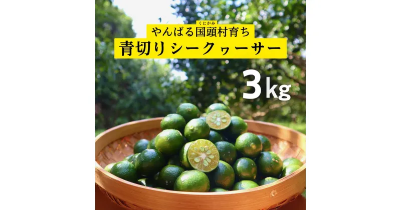 【ふるさと納税】ゆいゆい国頭厳選！青切りシークヮーサー3kg【2025年9月発送】先行予約