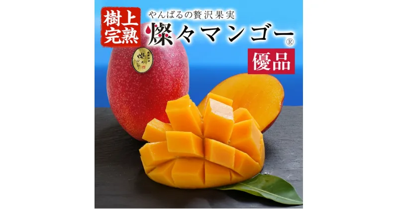 【ふるさと納税】 先行予約 【樹上完熟】 燦々 マンゴー 優品 選べる 1.0kg（2～3玉） 1.5kg（3～6玉） 2kg（4～6玉） 国産 農家直送 沖縄 沖縄県産 冷蔵 フルーツ 果物 くだもの 贈答 ギフト 【2025年6月末以降発送予定】