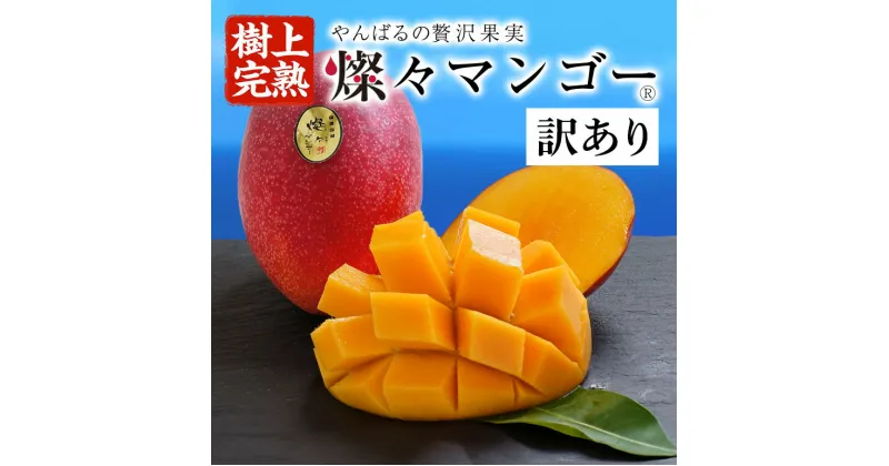 【ふるさと納税】 先行予約 【樹上完熟】 燦々 マンゴー 訳あり 選べる 1.5kg（3～6玉）2.4kg（4～6玉） 国産 農家直送 沖縄 沖縄県産 冷蔵 フルーツ 果物 くだもの 訳アリ 訳あり品 【2025年6月末以降発送予定】