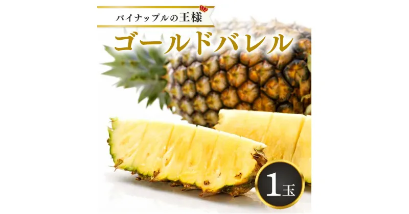 【ふるさと納税】先行予約【2025年5月発送】沖縄県産パインの王様　ゴールドバレル（1.7kg程度）1玉