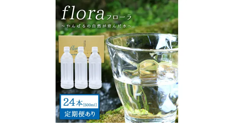 【ふるさと納税】 やんばるの水 フローラ 500ml 24本 選べる 定期便 3ヶ月 6ヶ月 12ヶ月 ソフトドリンク 飲料水 ミネラルウォーター 防災 キャンプ アウトドア 送料無料 軟水