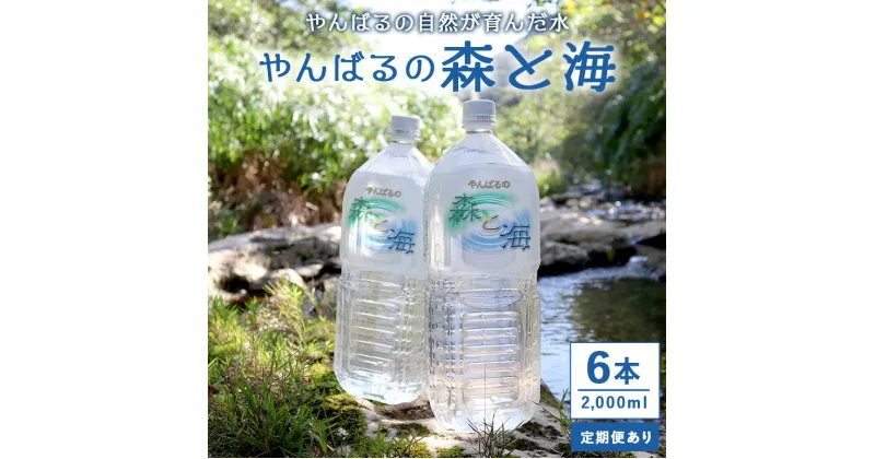 【ふるさと納税】 やんばるの水 森と海 2L 6本 2000ml 定期便 選べる 3ヶ月 6ヶ月 12ヶ月 ソフトドリンク 飲料水 ミネラルウォーター 防災 キャンプ アウトドア 送料無料 軟水