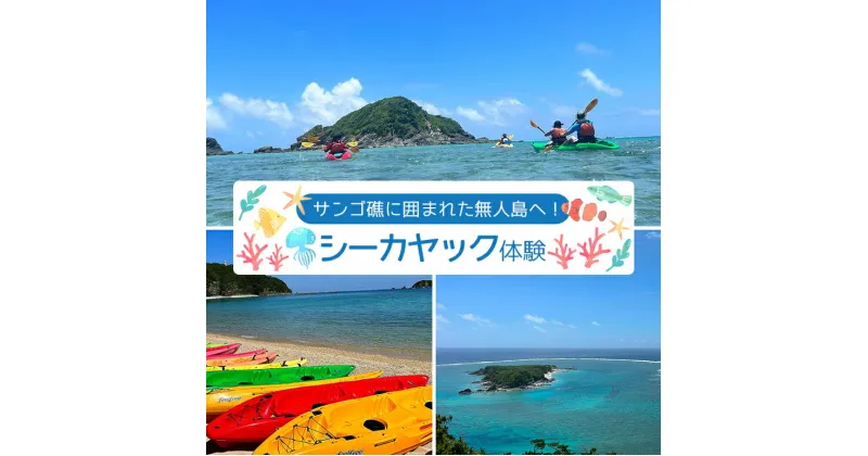 【ふるさと納税】サンゴ礁に囲まれた無人島へ！ シーカヤック 体験 沖縄 ヤンバル やんばる 国頭 国頭村 アウトドア リラックス 癒し 希少 生物 アクティビティ 海 無人島 サンゴ サンゴ礁 珊瑚 珊瑚礁