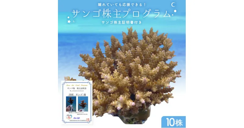 【ふるさと納税】 サンゴ株主プログラム 成長記録付き 10株 珊瑚 オーナー権 株主 権利 沖縄 おきなわ 国頭 国頭村 やんばる ヤンバル 体験 利用券 旅行 観光