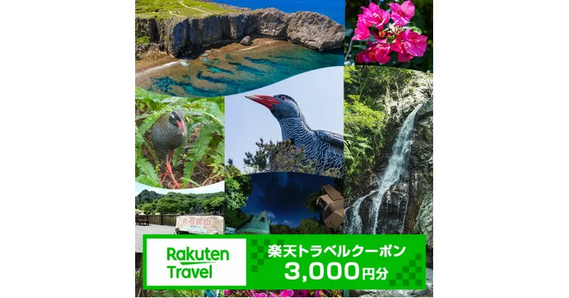 【ふるさと納税】沖縄県国頭村の対象施設で使える楽天トラベルクーポン 寄付額10,000円